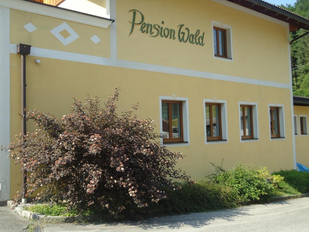 Pension Wald Faistenau Exterior foto