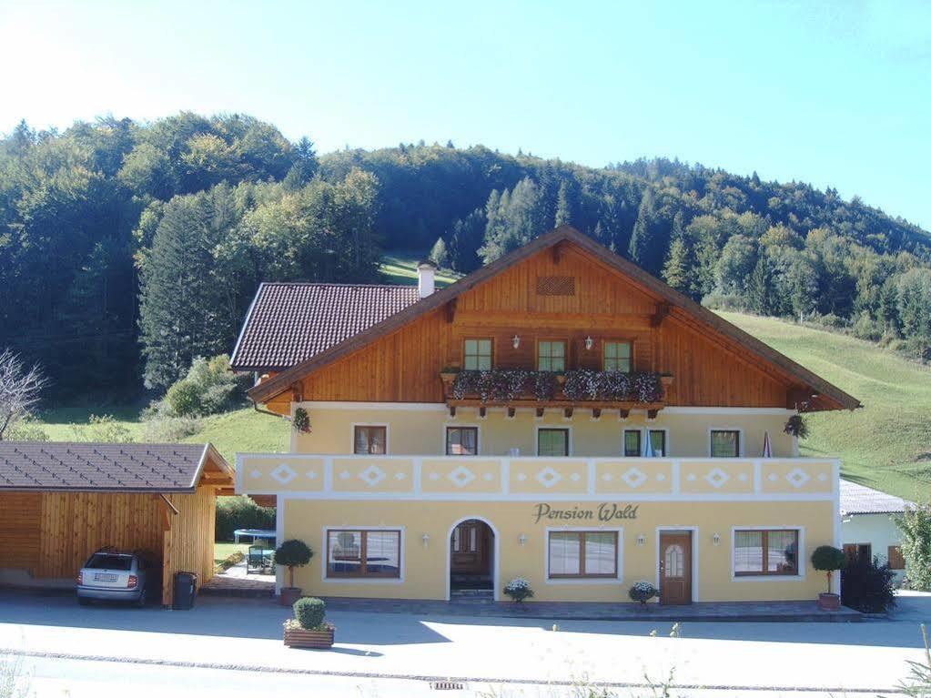 Pension Wald Faistenau Exterior foto